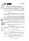 Vista preliminar de documento RDR 11552-2024