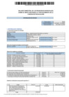 Vista preliminar de documento BALANCE SEMESTRAL DE LOS REGIDORES MUNICIPALES DIC-2024