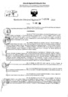 Vista preliminar de documento RDR 11556-2024