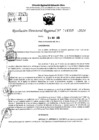 Vista preliminar de documento RDR 11557-2024