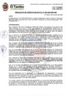 Vista preliminar de documento RGM 009-2025
