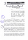 Vista preliminar de documento RDR 052-2025