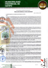 Vista preliminar de documento RESOLUCION GERENCIAL N° 00037-2025-MPS-GM
