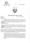 Vista preliminar de documento RD N°30-01-2025-DE-HCLLH-MINSA