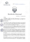 Vista preliminar de documento RD N°31-01-2025-DE-HCLLH-MINSA