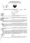 Vista preliminar de documento RDR 11559-2024