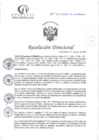 Vista preliminar de documento RD N°32-01-2025-DE-HCLLH-MINSA