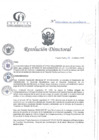 Vista preliminar de documento RD N°033-02-2025-DE-HCLLH-MINSA