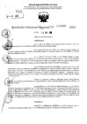 Vista preliminar de documento RDR 11560-2024