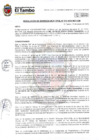 Vista preliminar de documento RGM 015-2025