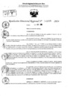 Vista preliminar de documento RDR 11565-2024