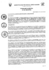 Vista preliminar de documento Nº 001-2025