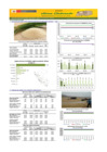 Vista preliminar de documento Boletín de abastecimiento y precio del ARROZ - 11/02/2025