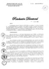 Vista preliminar de documento 291-2020-DG-DIRIS-LC
