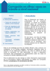 Vista preliminar de documento Reporte Mapas de la corrupción N° 01-2023