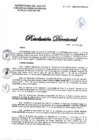 Vista preliminar de documento 293-2020-DG-DIRIS-LC