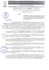 Vista preliminar de documento N.º 060-2025-GRSM/DIRESA-SM/OGESS-AH/DG