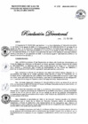 Vista preliminar de documento 295-2020-DG-DIRIS-LC