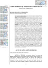 Vista preliminar de documento Apelación 207-2024