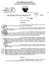 Vista preliminar de documento RDR 11566-2024
