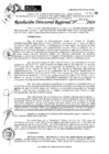 Vista preliminar de documento RDR 11668-2024