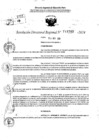 Vista preliminar de documento RDR 11569-2024