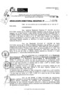 Vista preliminar de documento RDR 11571-2024