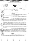Vista preliminar de documento RDR 11572-2024