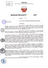 Vista preliminar de documento Resolucion Directoral N° 000299-2025