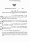 Vista preliminar de documento RD N° 217-2025