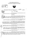 Vista preliminar de documento RDR 11576-2024