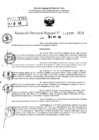 Vista preliminar de documento RDR 11577-2024