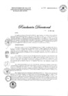 Vista preliminar de documento 302-2020-DG-DIRIS-LC-1