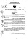 Vista preliminar de documento RDR 11578-2024