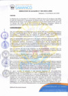 Vista preliminar de documento RESOLUCION DE ALCALDIA N° 020-2025 APRUEBA BASES PROCESO CAS N° 01-2025