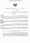 Vista preliminar de documento RD N° 223-2025