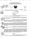 Vista preliminar de documento RDR 11581-2024