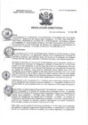 Vista preliminar de documento RD N° 029-2025-HMA-DG