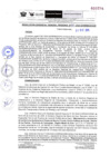 Vista preliminar de documento RER-451-2024-GOREMAD-GGR