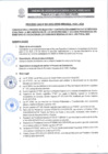 Vista preliminar de documento BASES CAS N° 001-2025