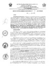 Vista preliminar de documento RGM-030-2025-MPJ-GM