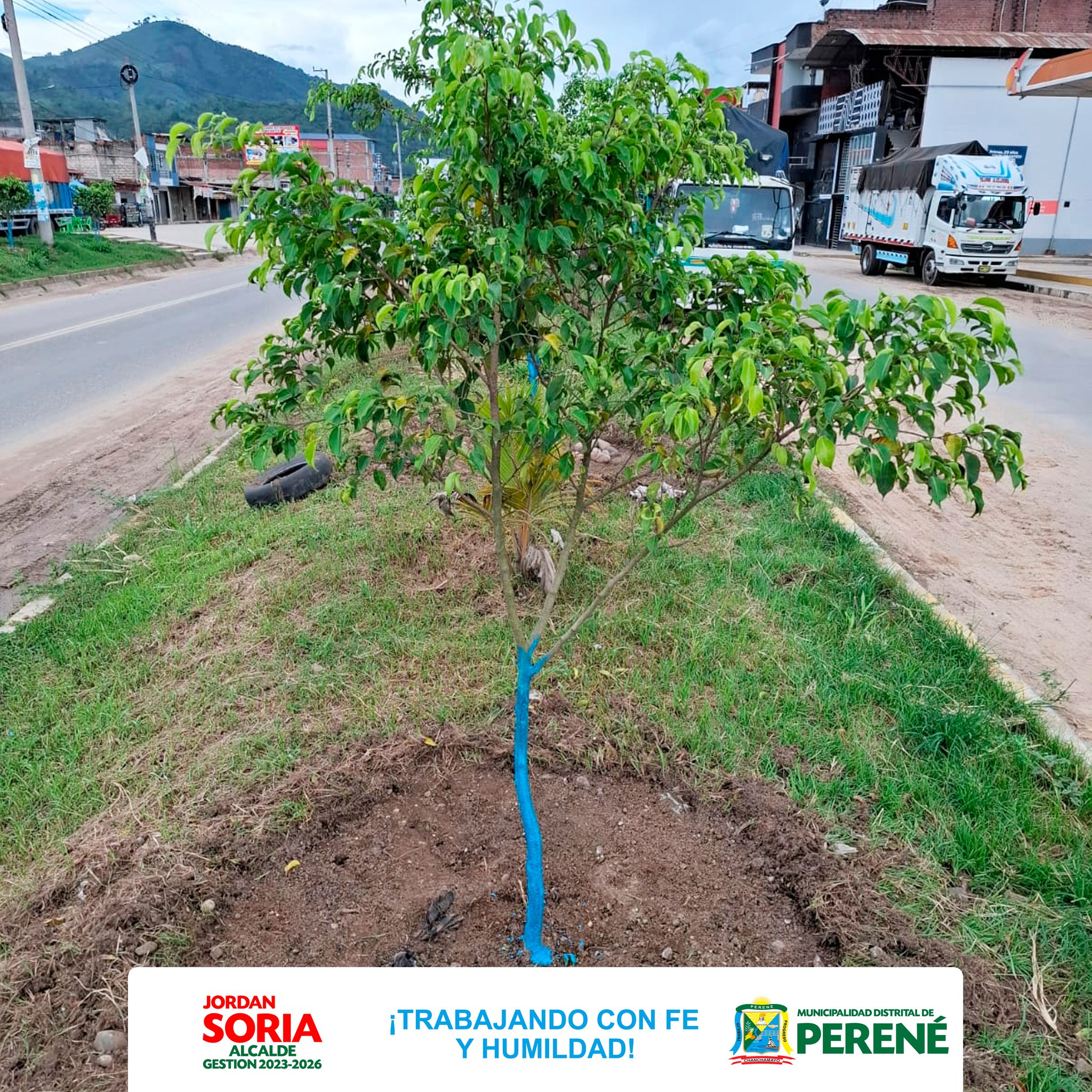 Sangani Más Verde Y Ordenado