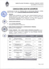 Vista preliminar de documento Bases Convocatoria CAS 001-2025