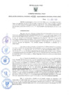 Vista preliminar de documento GRDS.058