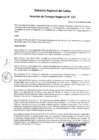 Vista preliminar de documento Acuerdo del Consejo Regional N° 157-2024