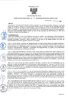 Vista preliminar de documento RD21