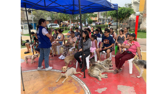 A lo largo de la charla, se abordaron temas fundamentales como:
✅ Alimentación saludable: La importancia de una dieta equilibrada para mantener a las mascotas fuertes y sanas.
✅ Atención veterinaria: La necesidad de controles regulares para prevenir enfermedades y detectar problemas de salud a tiempo.
✅ Ejercicio y estimulación: Cómo el juego y la actividad diaria contribuyen al bienestar físico y emocional de las mascotas.
✅ Adopción responsable: La importancia de brindar un hogar seguro y amoroso, fomentando el respeto y evitando el abandono animal.
Además, se realizaron desparasitaciones y tratamientos contra pulgas, contribuyendo a la salud de los animales de la comunidad.