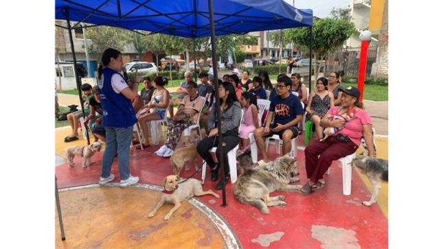A lo largo de la charla, se abordaron temas fundamentales como:
✅ Alimentación saludable: La importancia de una dieta equilibrada para mantener a las mascotas fuertes y sanas.
✅ Atención veterinaria: La necesidad de controles regulares para prevenir enfermedades y detectar problemas de salud a tiempo.
✅ Ejercicio y estimulación: Cómo el juego y la actividad diaria contribuyen al bienestar físico y emocional de las mascotas.
✅ Adopción responsable: La importancia de brindar un hogar seguro y amoroso, fomentando el respeto y evitando el abandono animal.
Además, se realizaron desparasitaciones y tratamientos contra pulgas, contribuyendo a la salud de los animales de la comunidad.