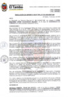 Vista preliminar de documento RGM 033-2025