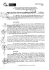 Vista preliminar de documento RDR 11593-2024